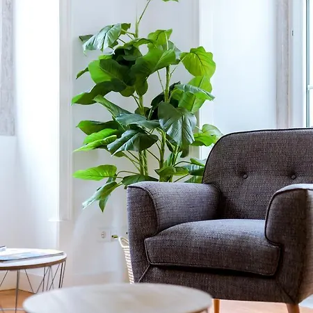 Sao Bento By Inside Out *