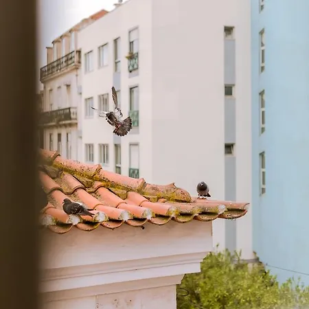 Sao Bento By Inside Out Apartment *